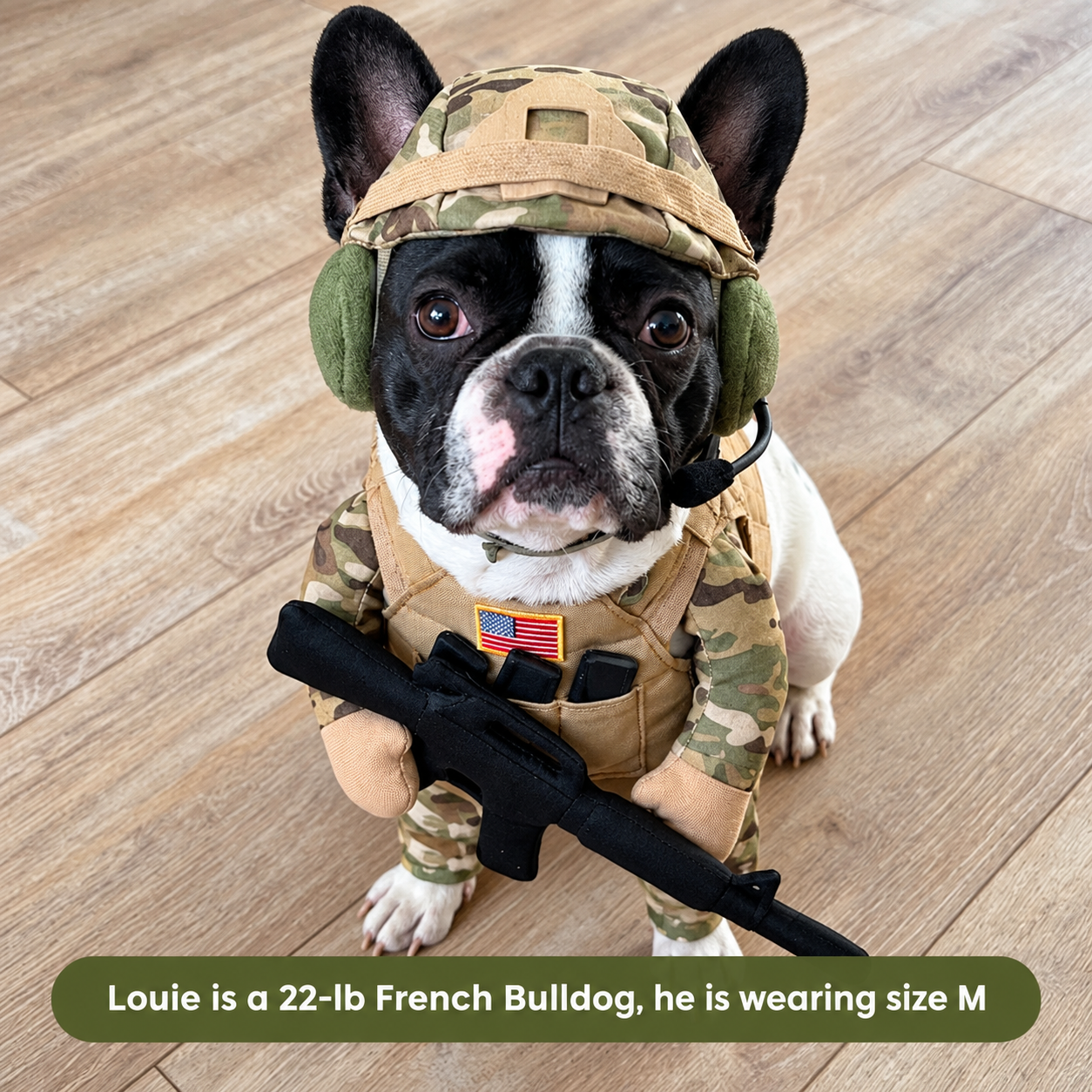 Doggy Solider Outfit